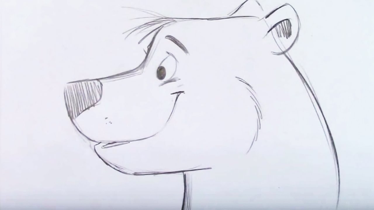 1280x720 Draw A Cartoon Bear