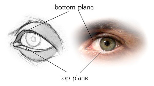 600x338 How To Draw Eyes Structure Proko