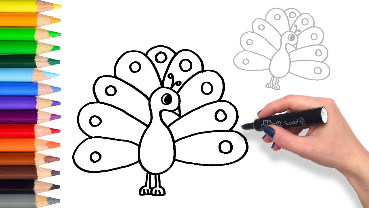1280x720 How To Draw A Colourful Peacock Teach Drawing For Kids