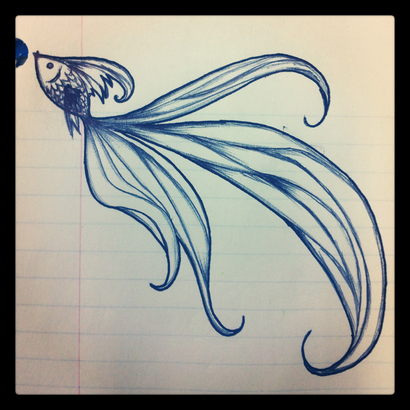 1350x1350 Beautiful Fish Drawing. Turn Into Tattoo Maybe. Really Pretty