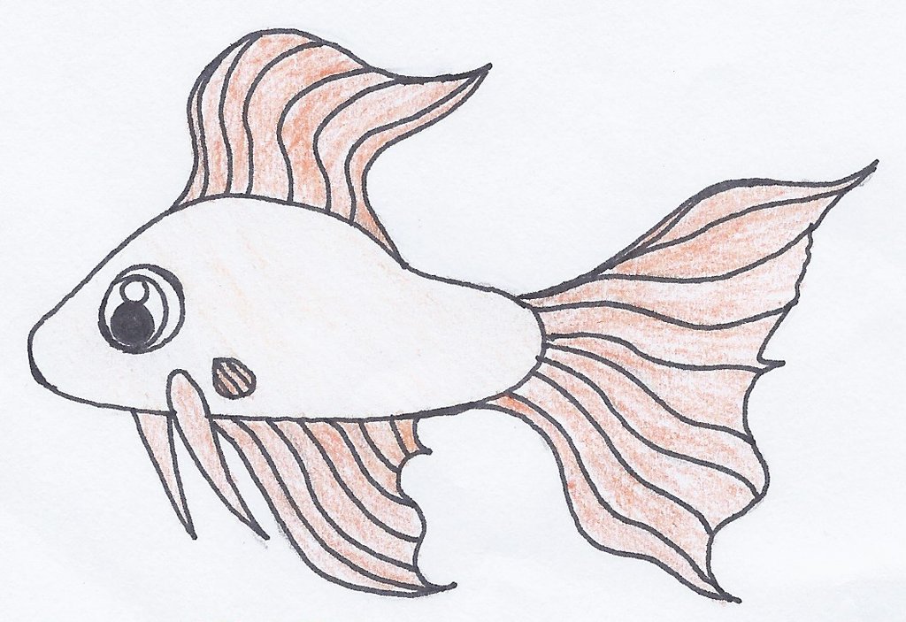 1024x703 Fish Drawing 1 By Princessbelle1989