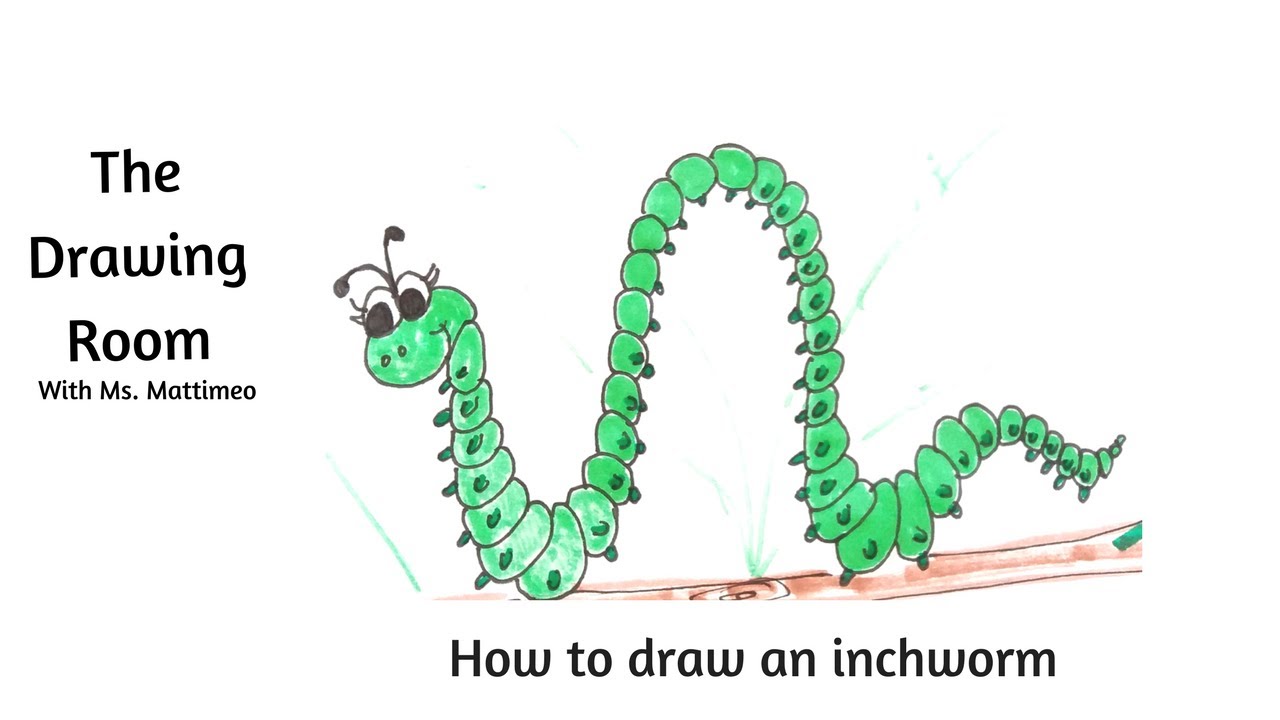 1280x720 How To Draw An Inchworm