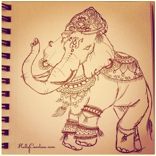 640x640 Indian Elephant Drawing