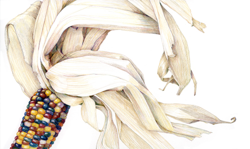 500x299 Sarah Melling Pencils And Paper Indian Corn