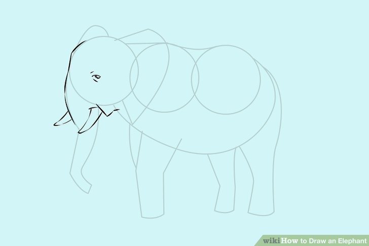 728x485 4 Ways To Draw An Elephant