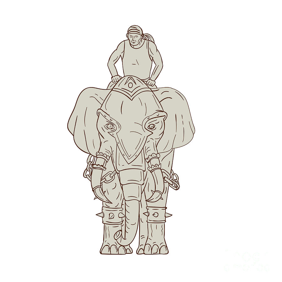 900x900 War Elephant Mahout Rider Drawing Digital Art By Aloysius Patrimonio