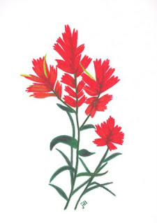 225x320 Maple Leaf Artistry Indian Paintbrush