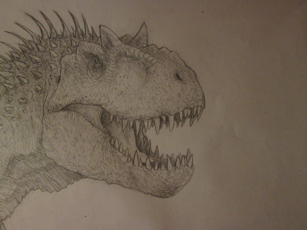 1032x774 Indominus Rex Concept Drawing, Head Shot By Anthonyhoogsteden