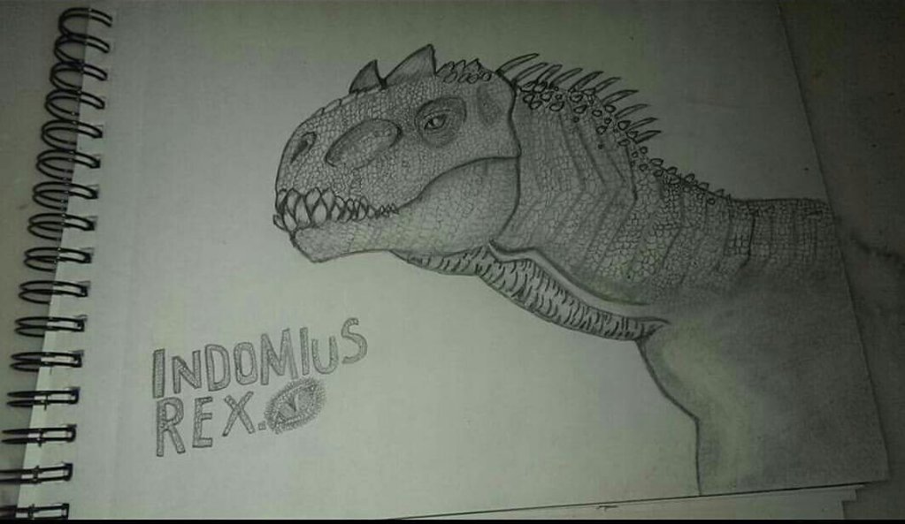 1023x593 Jurassic World Indominus Rex Traditional Drawing By Singhsketches