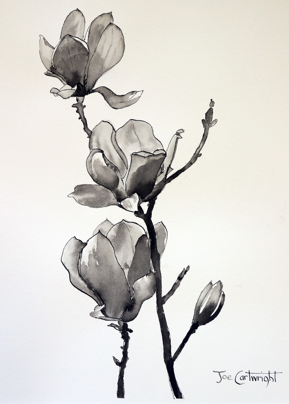 573x800 Pen And Ink Wash Drawings Magnolias Pen And Ink Technique