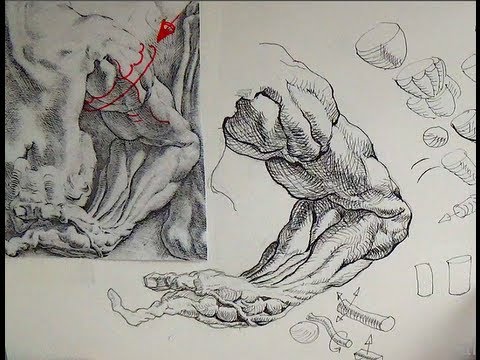 480x360 Pen Amp Ink Drawing Tutorials How To Draw An Arm Like Peter Paul
