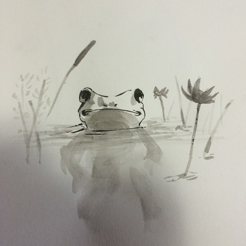 500x500 Vortex Ascent Shinyspartan Been Drawing Frogs All His