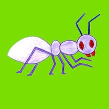 220x220 How To Draw Insects