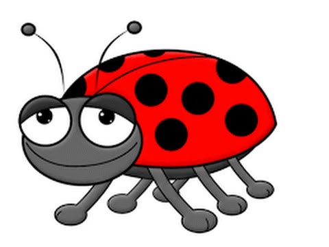 480x360 How To Draw A Lady Bug Step By Step