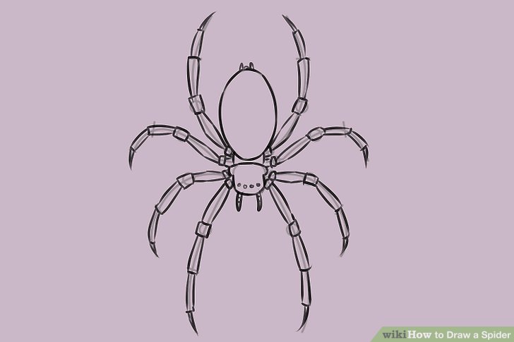 728x485 5 Ways To Draw A Spider