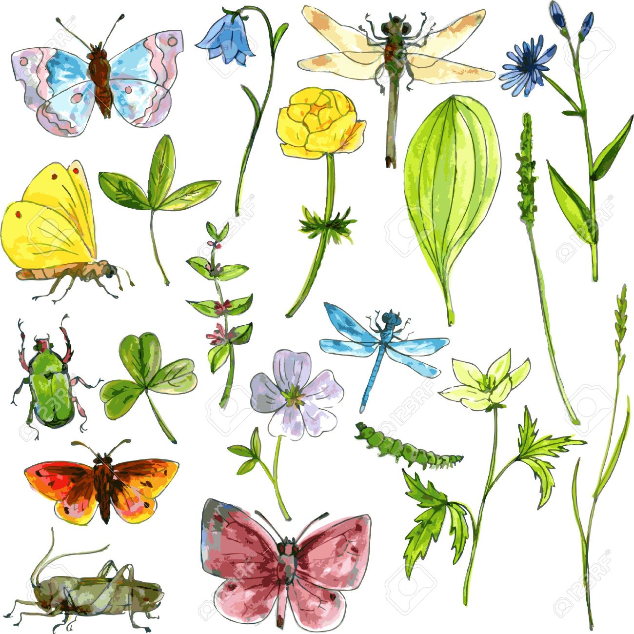 1300x1300 Big Set Of Ink Drawing Meadow Objects, Plants, Flowers, Grass