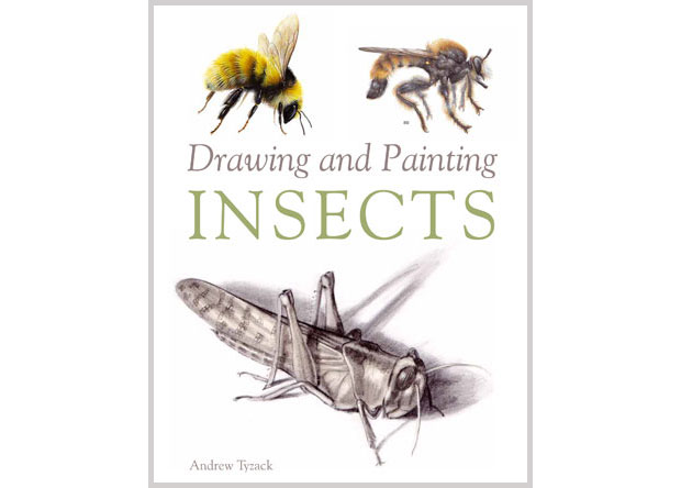 620x444 Drawing Amp Painting Insects Book By Andrew Tyzack
