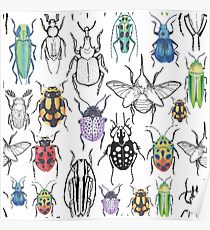 210x230 Insects Drawing Posters Redbubble