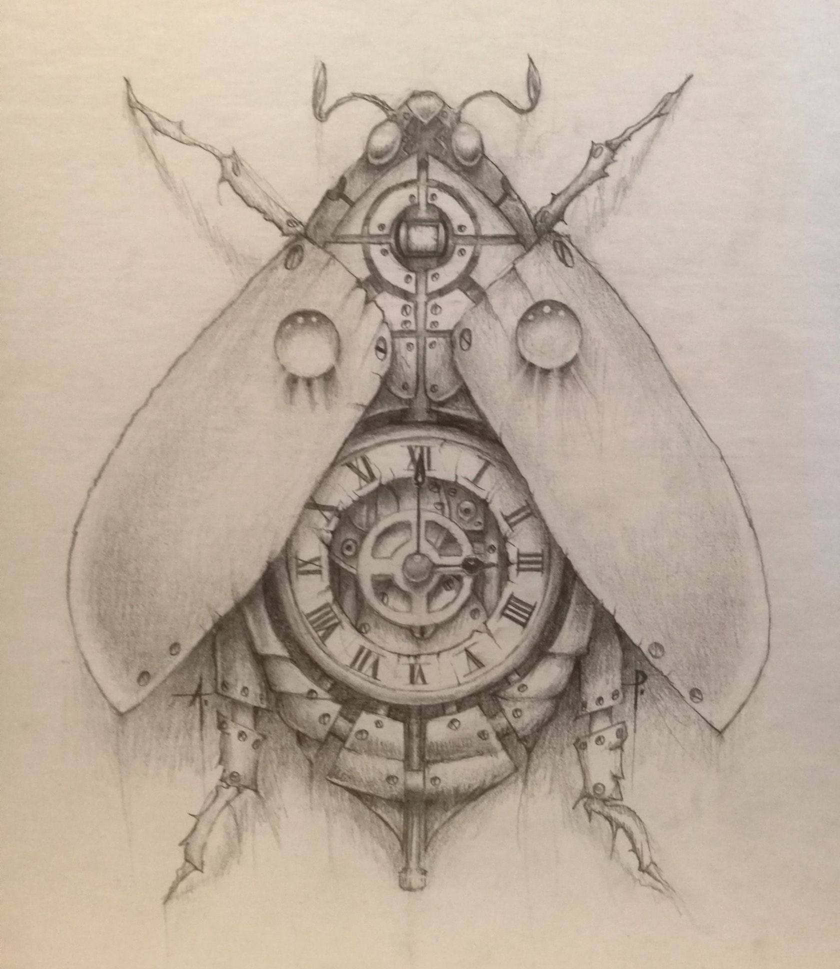 1680x1938 Fascinating Drawings Of Insects Grasshopper Pencil Drawing Black