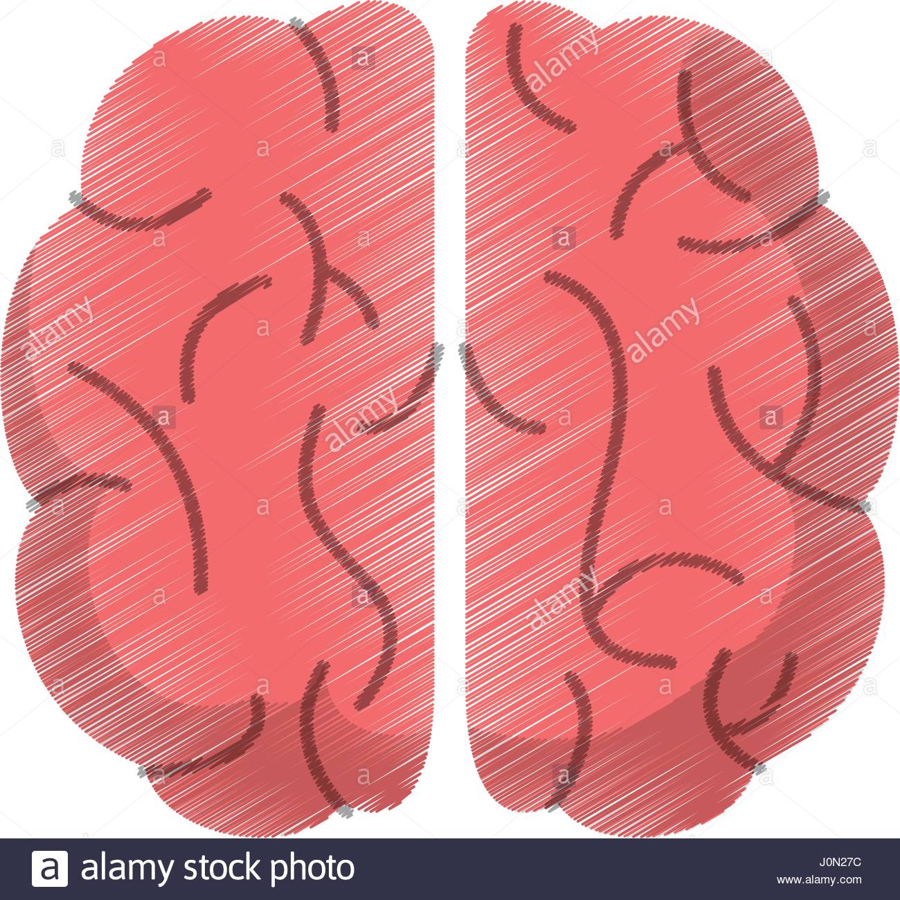 1300x1300 Drawing Brain Human Idea Intelligence Stock Vector Art