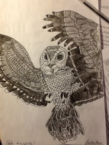 360x480 Owl Drawing Cool Animal Pencil Pen Paper Hobby Birds Nature