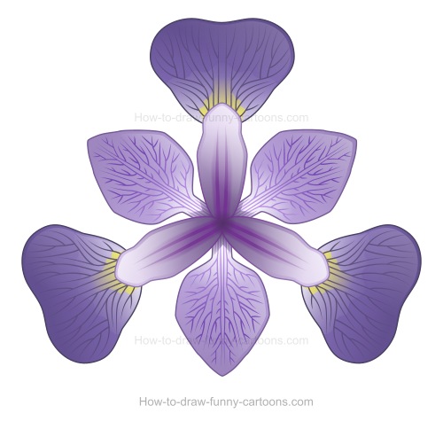 500x475 To Draw An Iris