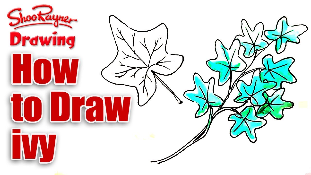 1280x720 How To Draw Ivy
