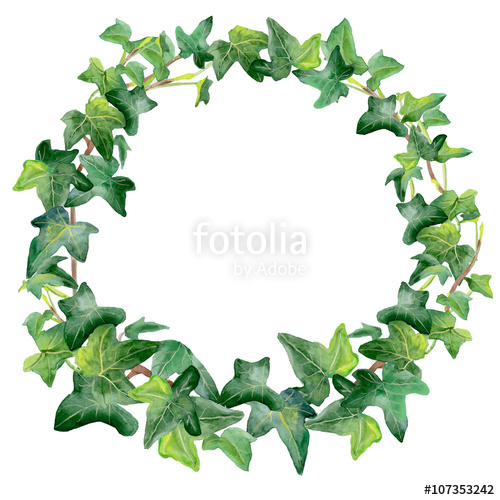 500x500 Watercolor Drawing Of Green Ivy Wreath Isolated On White