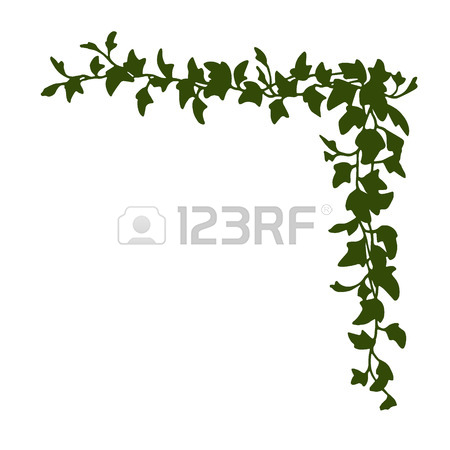 450x450 92 English Ivy Cliparts, Stock Vector And Royalty Free English Ivy