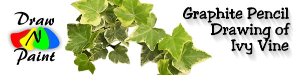 600x150 Free Online Art Drawing Lesson Of Ivy Vine