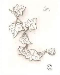 236x296 Heart Surrounded By Ivy Drawings For Tattoo Ivy Tattoo Designs