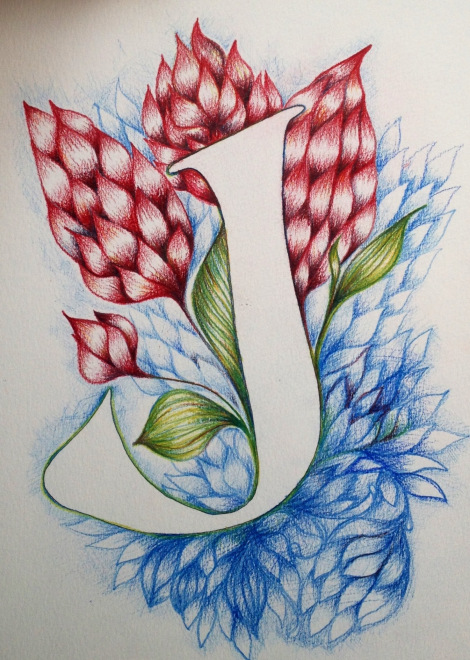 470x660 Letter J Drawing Typography J Is For Joan