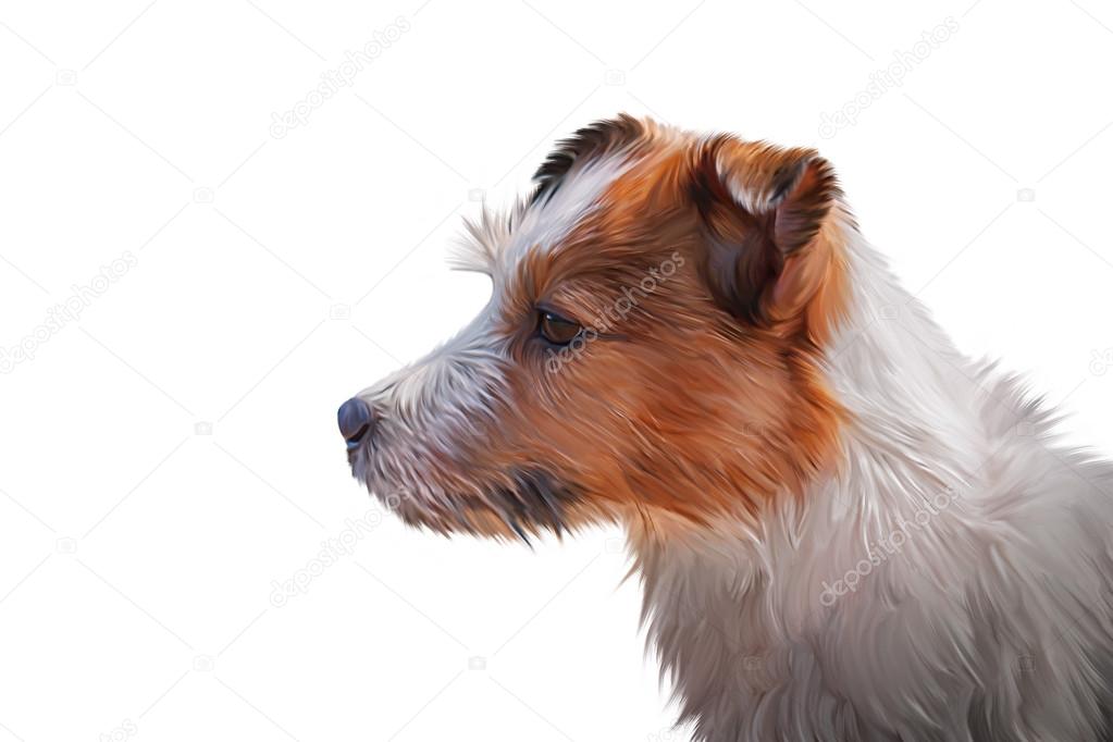 Jack Russell Terrier Drawing at GetDrawings | Free download