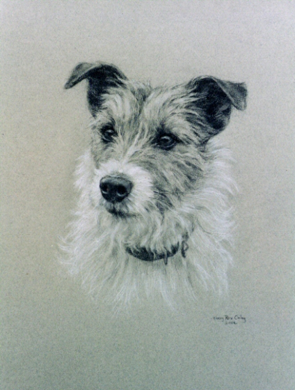 Jack Russell Terrier Drawing at GetDrawings | Free download