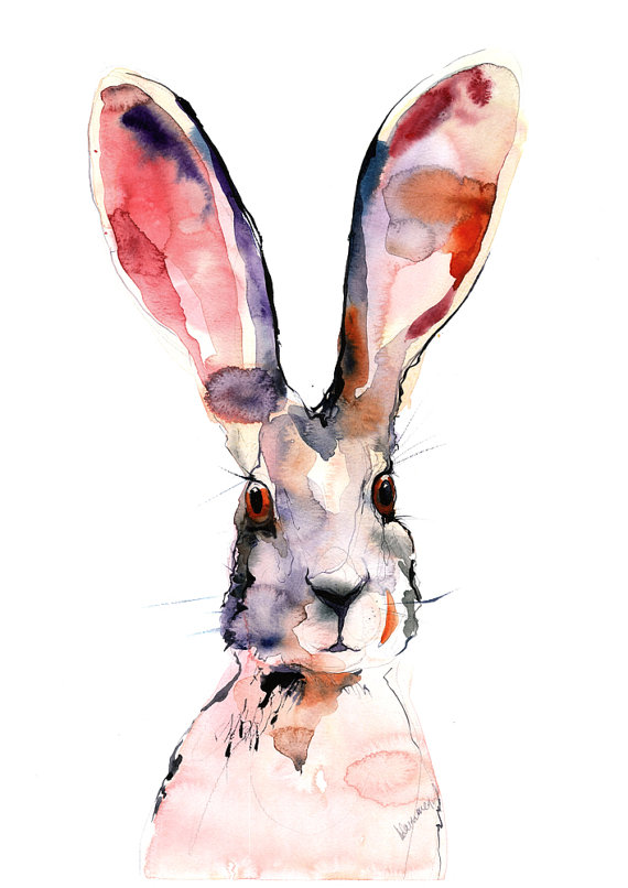 Jackrabbit Drawing at GetDrawings | Free download