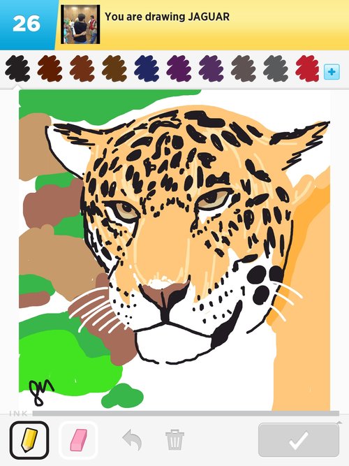 500x667 Jaguar Drawings