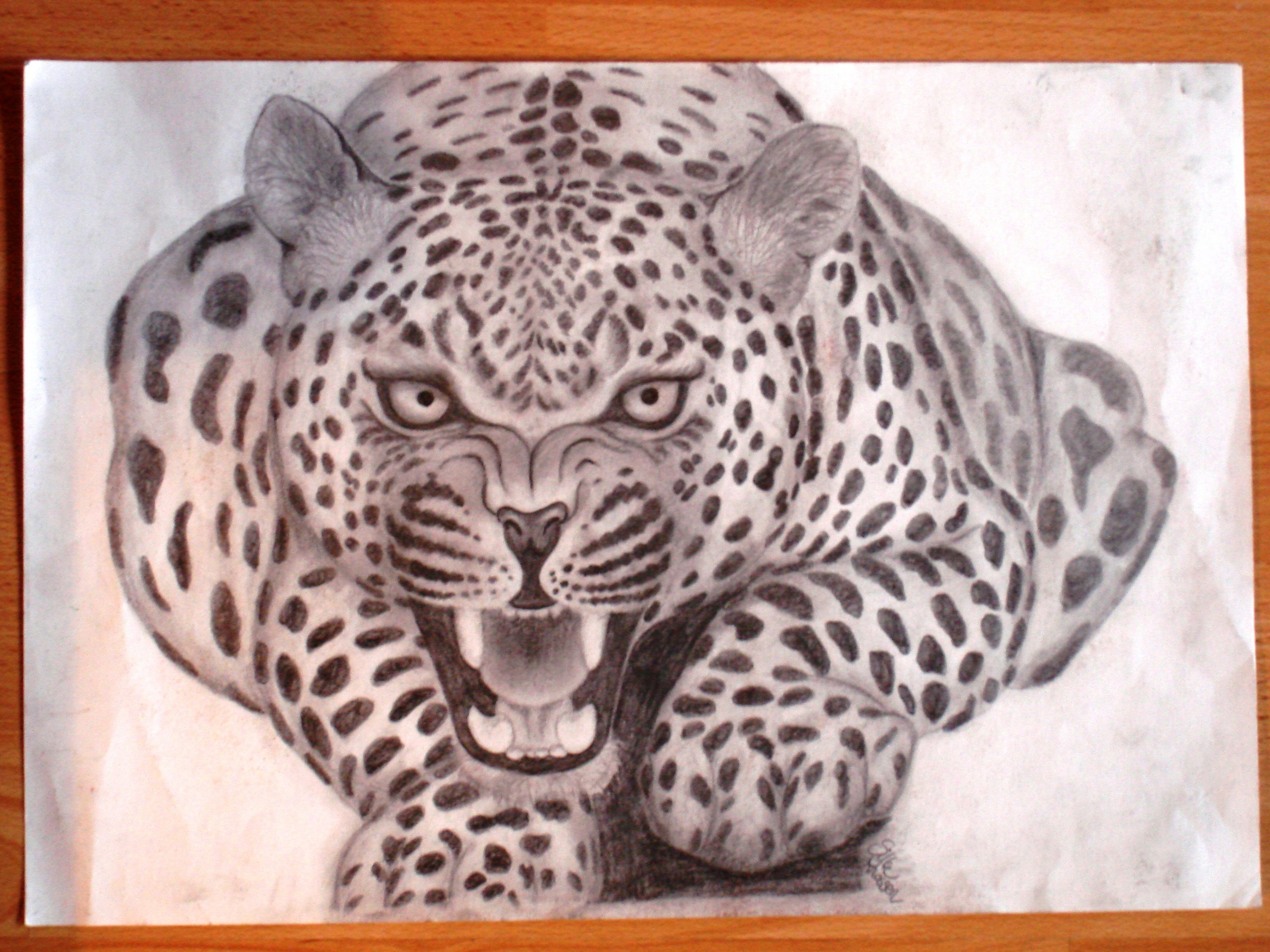 2560x1920 Drawings Of Fans Jaguar