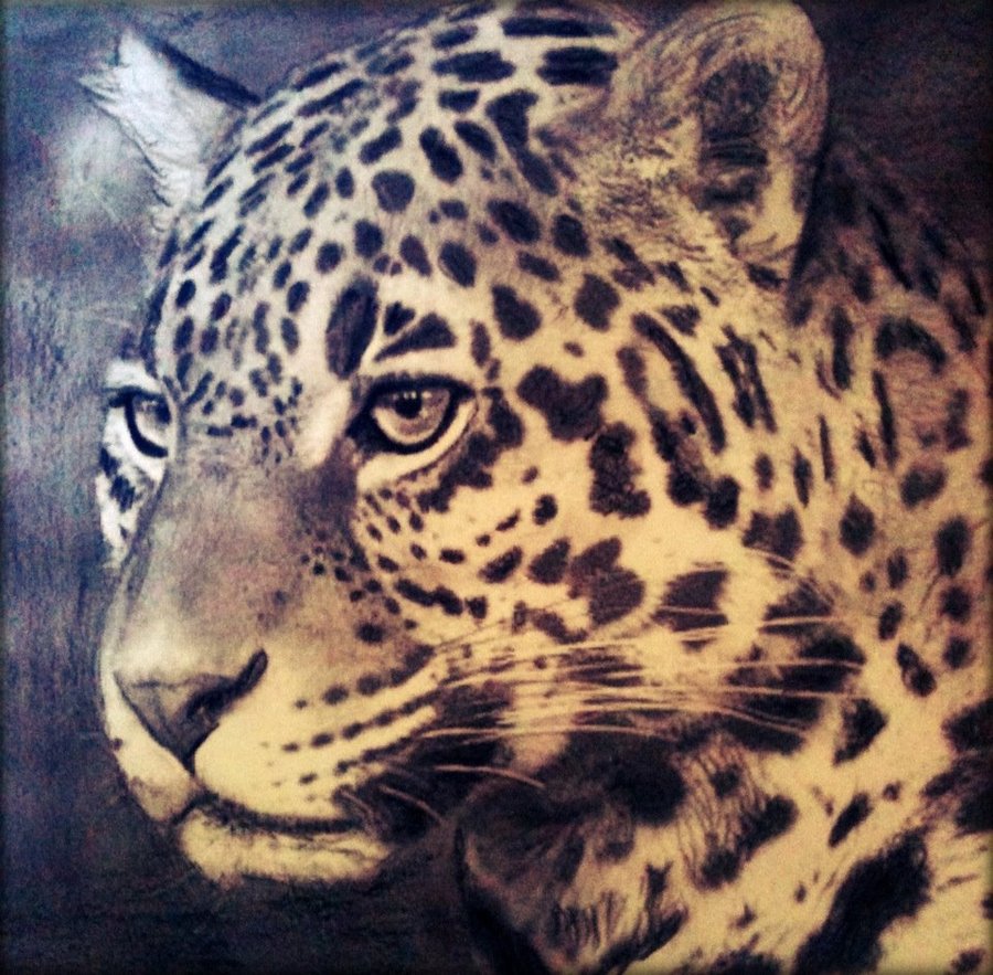 900x883 Jaguar Drawing By Jarrydd