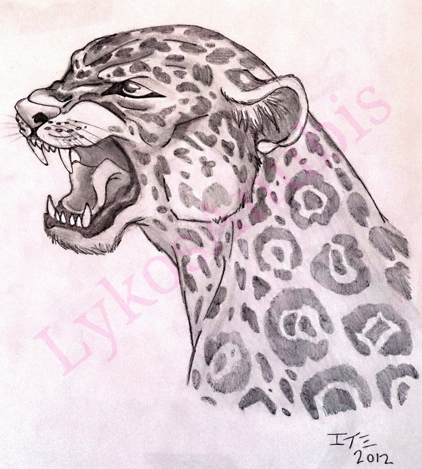 847x943 Screaming Jaguar By Lykosanubis
