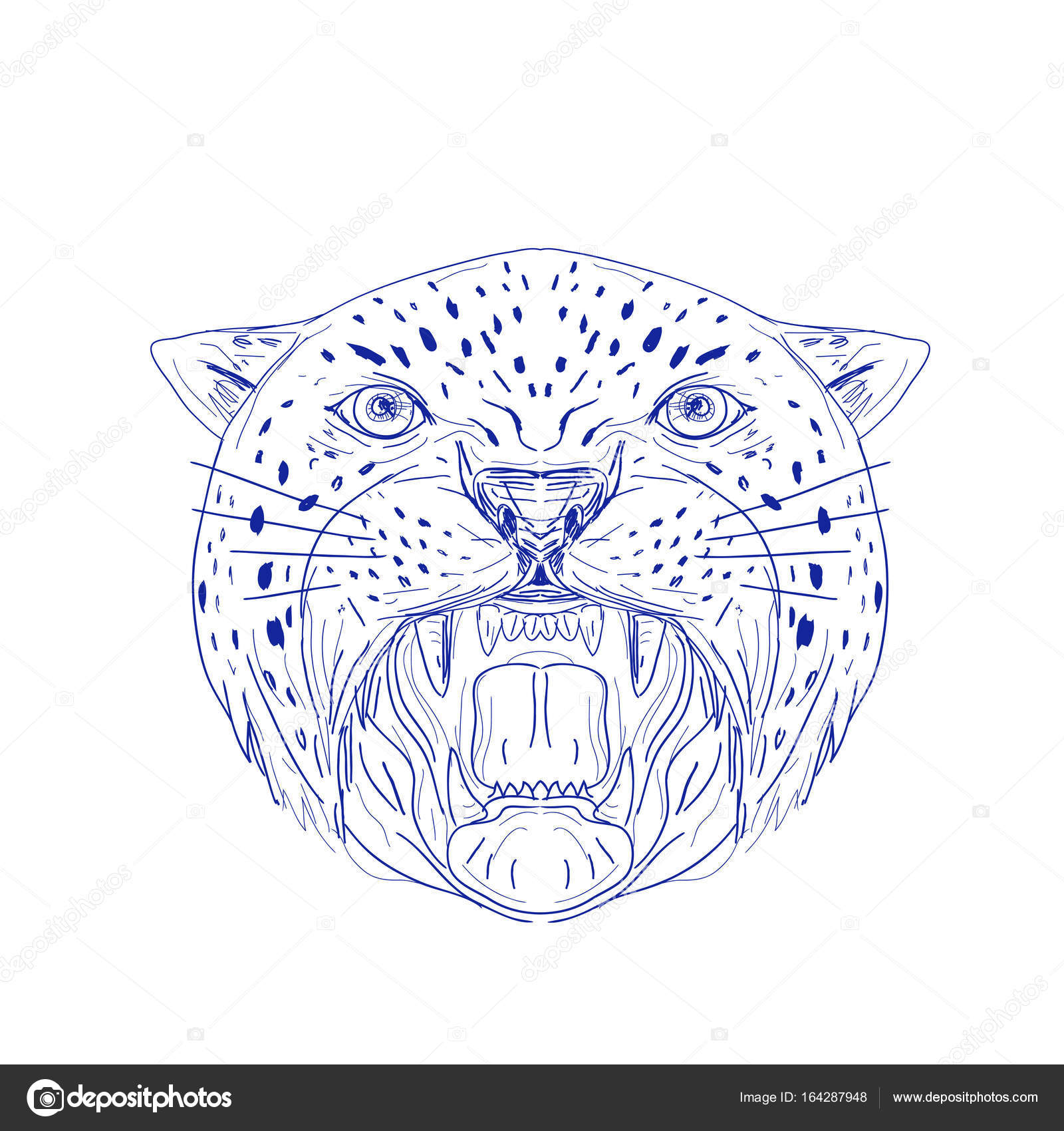 1600x1700 Angry Jaguar Head Drawing Stock Vector Patrimonio