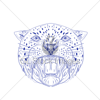 325x325 Jaguar Images Gl Stock Images