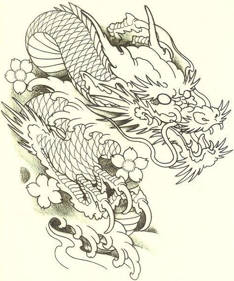 Japan Dragon Drawing at GetDrawings | Free download