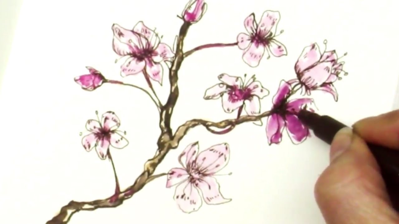 1280x720 Easy How To Draw A Sakura Cherry Blossom Branch