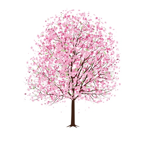 495x495 13 Cherry Blossom Tree Designs Images