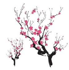223x226 8 Best Tattoo Ideas Images On Cherry Blossoms