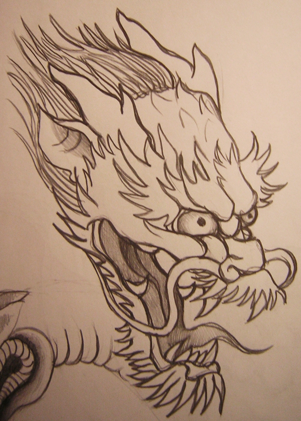 993x1387 Dragon Head By Bonnfire