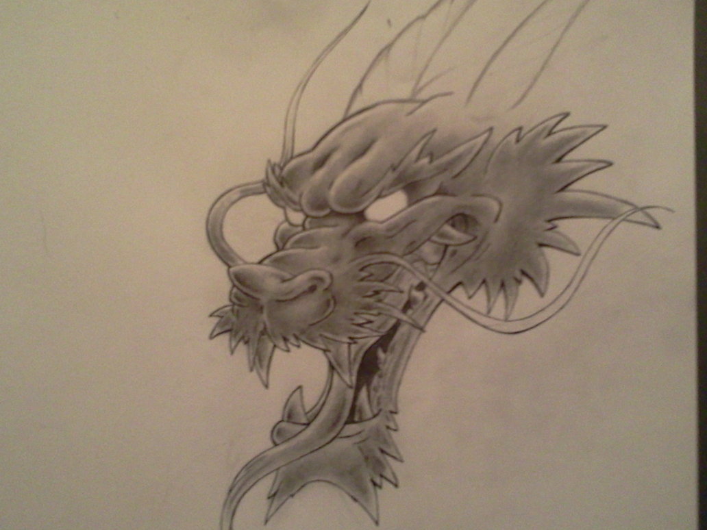 1032x774 Dragon Head Sketch By Darkdreamsj