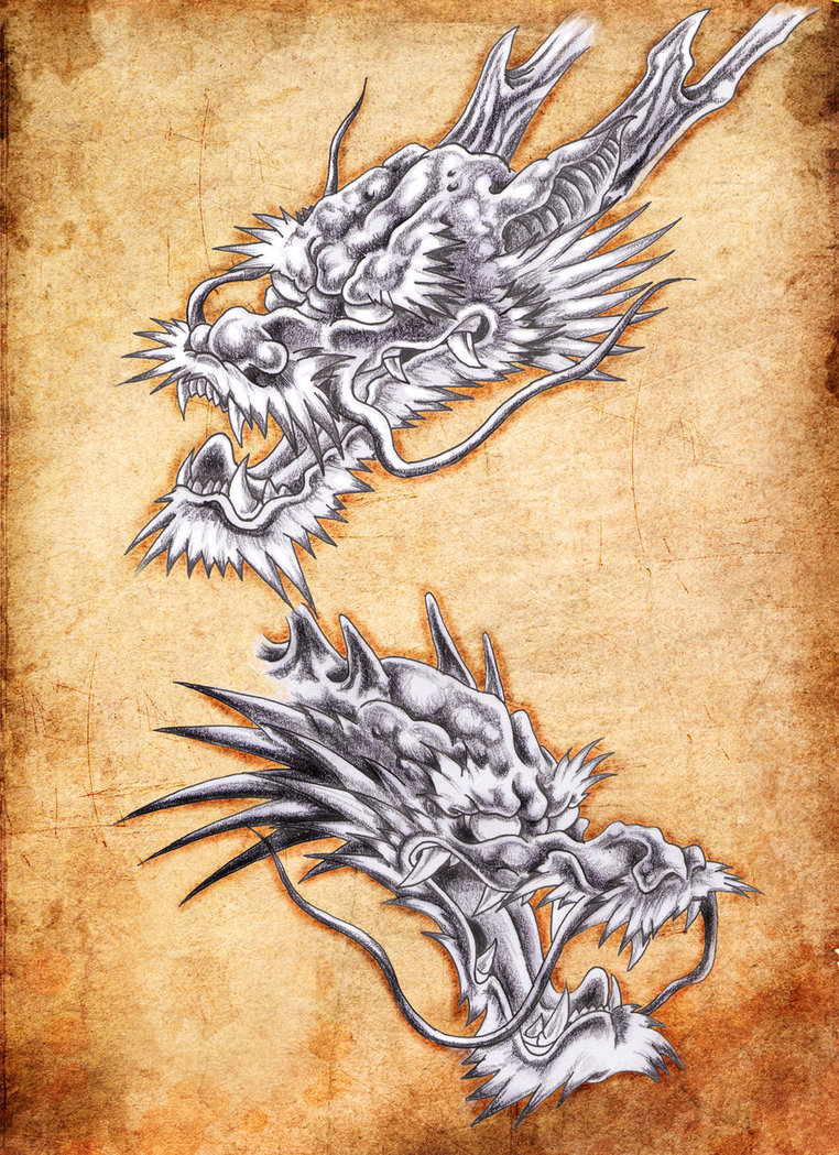 762x1049 Dragon Heads Art By ~tylerrthemesmer Dragons