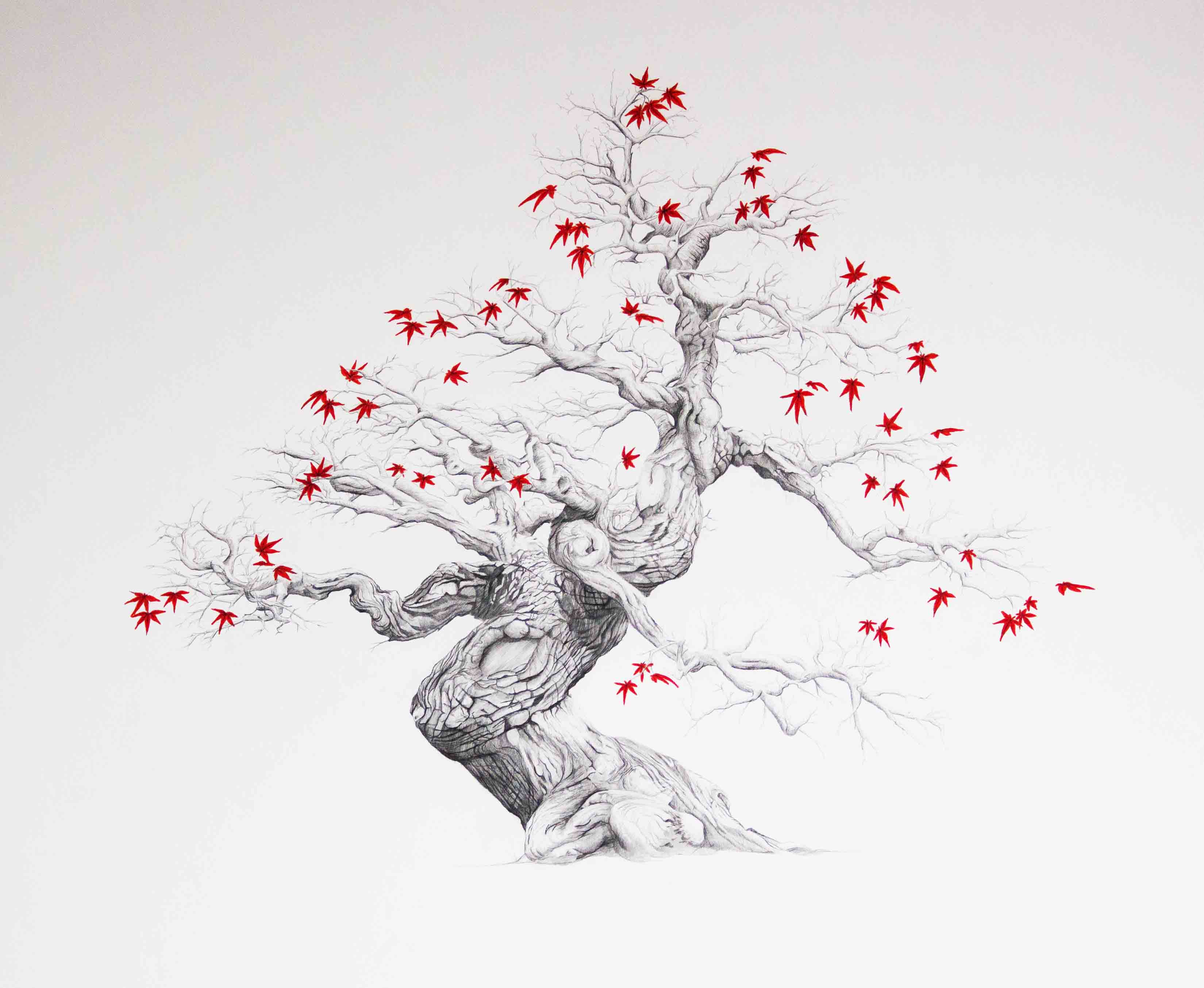 3299x2707 According To Japanese Tradition, The Bonsai Represents The Three