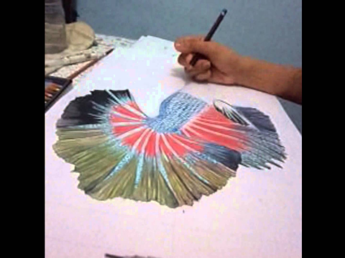 1440x1080 Siamese Fighting Fish Speed Drawing